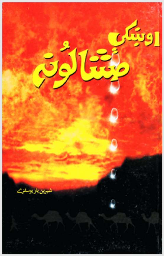 Book Cover